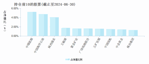 景顺长城安瑞混合C(014926)基金持仓