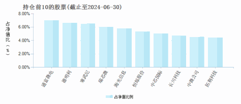 创金合信芯片产业股票发起A(013339)基金持仓