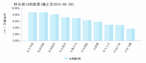 诺安成长混合(320007)基金持仓