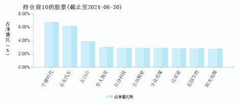 华宝先进成长混合(240009)基金持仓