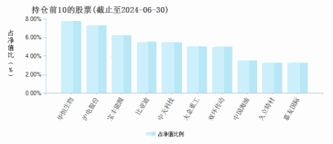 易方达策略成长混合(110002)基金持仓