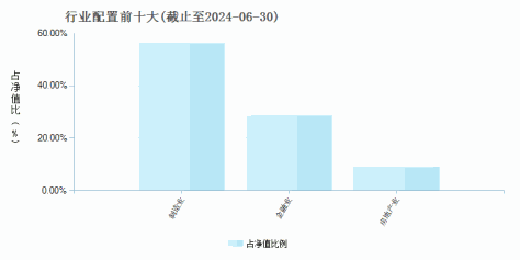 国寿安保优选国企股票发起式A(019765)行业配置