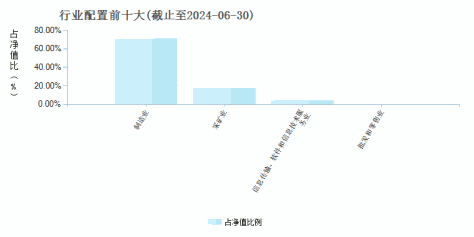 建信改革红利股票C(016269)行业配置