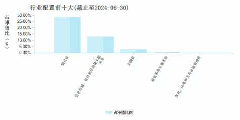 华夏互联网龙头混合C(012448)行业配置