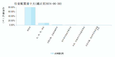 景顺长城策略精选灵活配置混合A(000242)行业配置