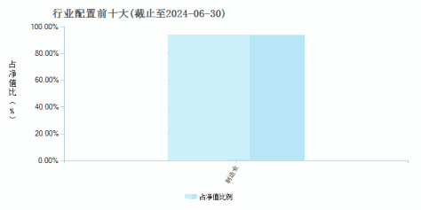 宏利转型机遇股票A(000828)行业配置