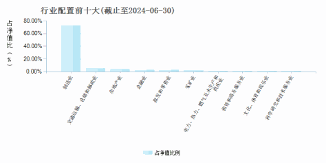 富国天惠成长混合A/B(LOF)(161005)行业配置