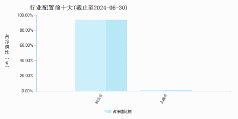 国联安中证新材料主题ETF(516480)行业配置