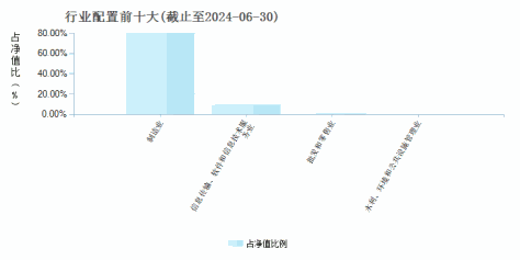 诺安成长混合(320007)行业配置