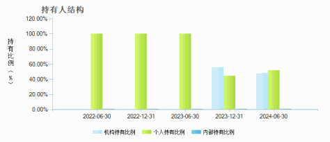 南方远见回报股票C(011385)持有人结构