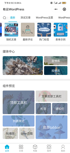 有云WordPress小程序