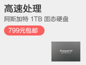 阿斯加特 1TB SATA3 固态硬盘