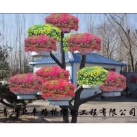 青州业丰路桥绿化工程有限公司 给您提供**优质的立体组合花盆