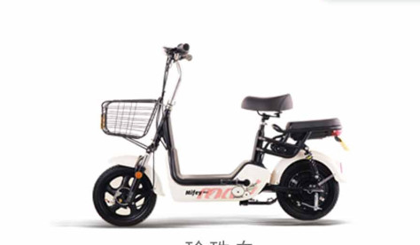 新日TDTZD-427电动自行车整车外观图片