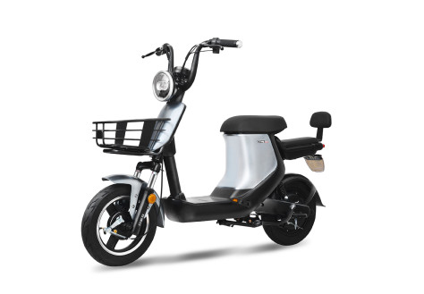 新日 X1 TDRZD-802 电动自行车