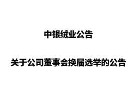 中银绒业关于公司董事会换届选举的公告