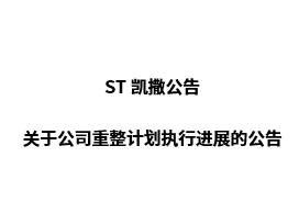 ST凯撒关于公司重整计划执行进展的公告