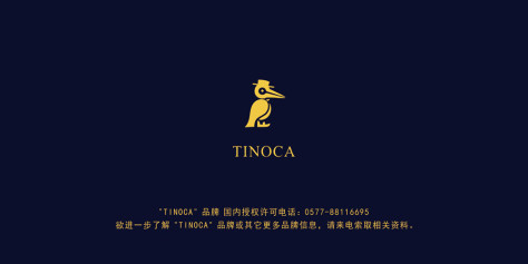 TINOCA