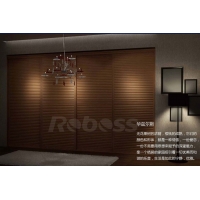 广东什么品牌衣柜好 中山什么品牌橱柜好 推荐**Roboss