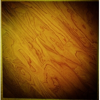 榆木浮雕1号色实木复合地板