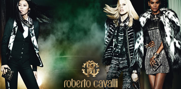 roberto cavalli 