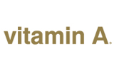 Vitamin内衣品牌