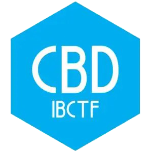  CBD上海虹桥 | 千款潮品，万商“建”证！ 