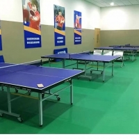 昆明乒乓球运动地胶-选曼纳奇-生产运动地板品牌