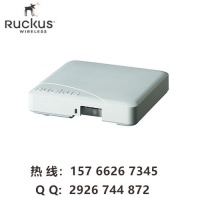 ruckus R500 优科901-R500-WW00 