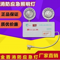 消防应急灯 LED双头国标消防应急照明灯具