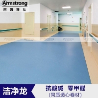阿姆斯壮洁净龙同质透心pvc地板商用塑胶地板
