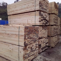 建筑木方 大量批发木板材 不易变形 质优价廉  