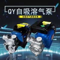 20QY-1SS气浮处理设备配套自吸溶气泵
