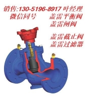 盖雷静态平衡阀，盖雷数字平衡阀