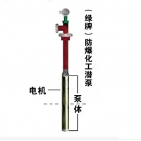 绿牌酯类化工液下泵不锈钢潜液泵