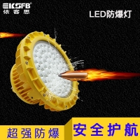 工厂LED防爆泛光灯50W60瓦壁挂式IP65 IICT6