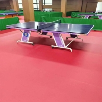 荔枝纹红色乒乓球地板 天津乒乓球运动地板 