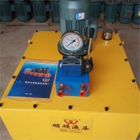 可专业定制大流量齿轮液压泵站液压系统超高压电动液压泵非标油泵