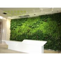 创意仿真绿色植物墙