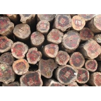 上海正山木材供应非洲铁木豆原木