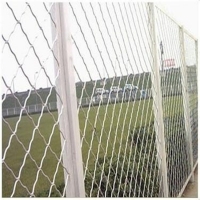  高碑店球场护栏网/超高度球场护栏网