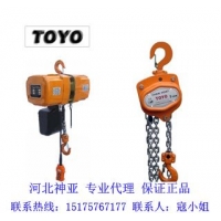 TOYO进口环链电动葫芦_轻小型电动葫芦