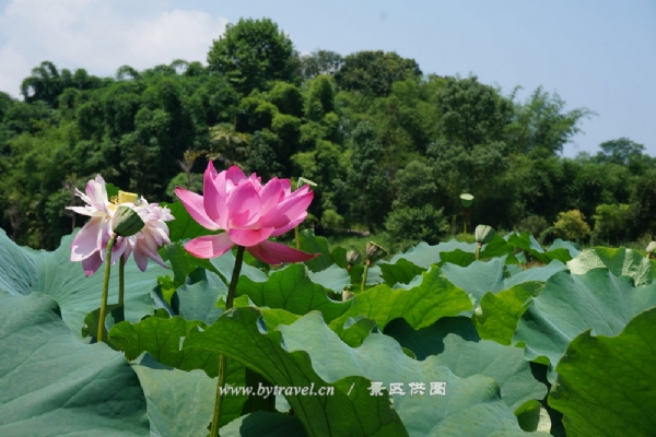 太山研学旅行基地