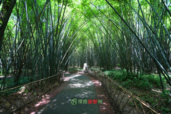 绥江竹海生态旅游区