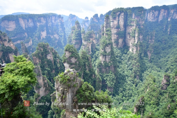 杨家界风景区