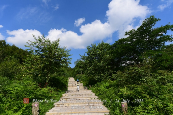 百里杜鹃风景区