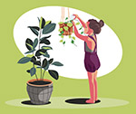女孩浇灌室内植物插图