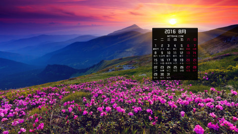 山早上的太阳鲜花2016年8月风景日历桌面壁纸
