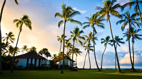 夏威夷考艾岛的太平洋，棕榈树，夏天，美丽天空，大海，风景桌面壁纸