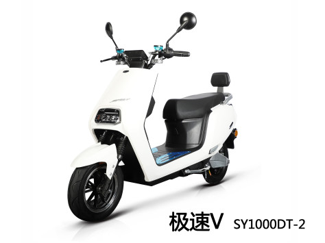 三雅 极速V SY1000DT-2  电动摩托车极速V SY1000DT-2图片